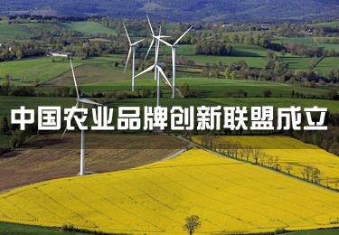 中國農業品牌創新聯盟成立
