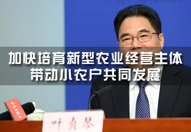 葉貞琴：加快培育新型農業經營主體 帶動小農戶共同發展