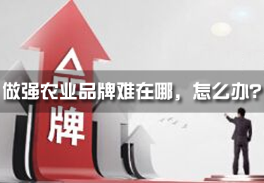 做強農業品牌難在哪，怎么辦？