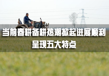 當前春耕備耕熱潮掀起進展順利 呈現五大特點