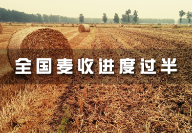 全國麥收進度過半 日機收面積創新高