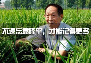 不遺忘袁隆平，才能記得更多