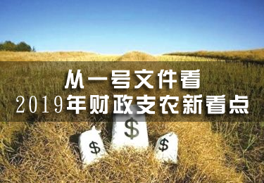 從一號文件看2019年財政支農新看點