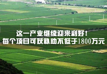 這一產業繼續迎來利好！每個項目可獲補助不低于1800萬元