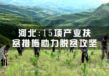河北：15項產業扶貧措施助力脫貧攻堅