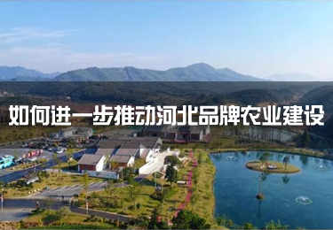 【三農動態】如何進一步推動河北品牌農業建設？省農業農村廳廳長王國發提出這三點意見！