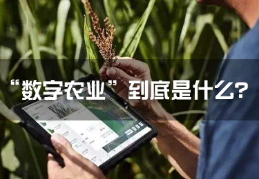 【科普】“數字農業”到底是什么？