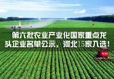 第六批農(nóng)業(yè)產(chǎn)業(yè)化國家重點(diǎn)龍頭企業(yè)名單公示，河北15家入選！