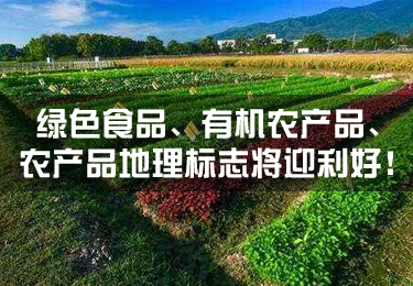 綠色食品、有機農產品、農產品地理標志將迎利好！