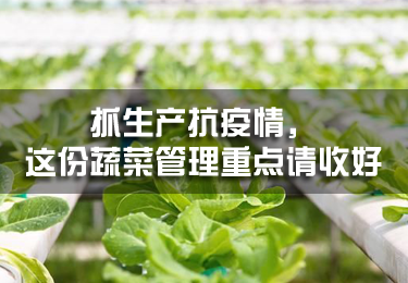 抓生產抗疫情，這份蔬菜管理重點請收好