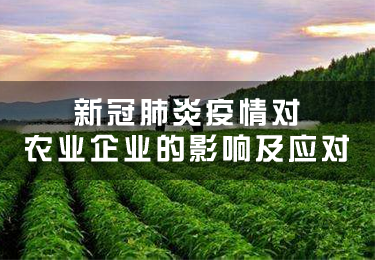 新冠肺炎疫情對農業企業的影響及應對