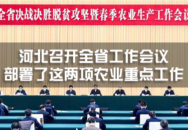 河北召開全省工作會議，部署了這兩項農業重點工作