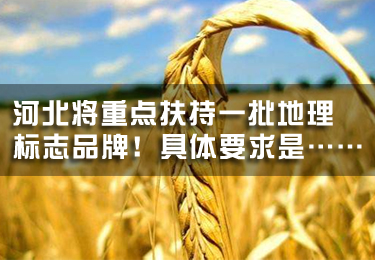 河北將重點扶持一批地理標志品牌！具體要求是……