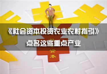 《社會資本投資農業農村指引》點名這些重點產業