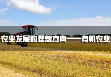 農(nóng)業(yè)發(fā)展的理想方向——有機(jī)農(nóng)業(yè)
