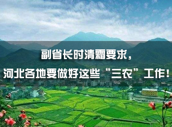 副省長(zhǎng)時(shí)清霜要求，河北各地要做好這些“三農(nóng)”工作！