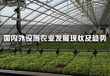 國(guó)內(nèi)外設(shè)施農(nóng)業(yè)發(fā)展現(xiàn)狀及趨勢(shì)