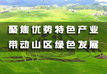 聚焦優勢特色產業 帶動山區綠色發展