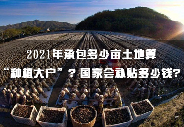 2021年承包多少畝土地算“種植大戶”？國家會補貼多少錢？