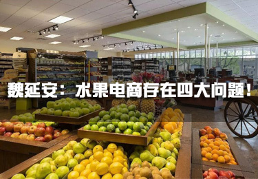 魏延安：水果電商存在四大問題！