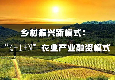 鄉村振興新模式：“4+1+N”農業產業融資模式