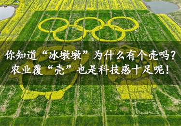 【行業資訊】你知道“冰墩墩”為什么有個殼嗎？農業覆“殼”也是科技感十足呢！