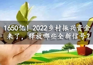 【關注】1650億！2022鄉村振興資金來了，釋放哪些全新信號？