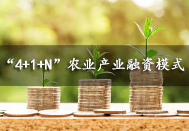 【動態】“4+1+N”農業產業融資模式