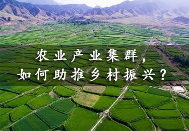 【資訊】農業產業集群，如何助推鄉村振興？