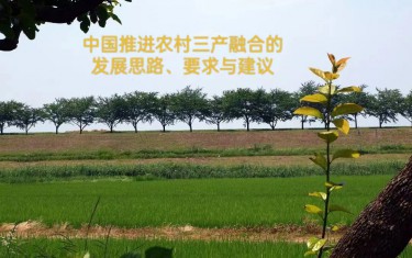中國推進農村三產融合的發展思路、要求與建議