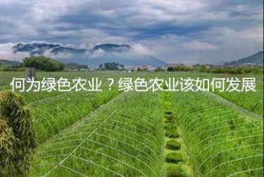 何為綠色農業？綠色農業該如何發展