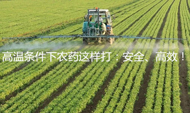 高溫條件下農藥這樣打：安全、高效