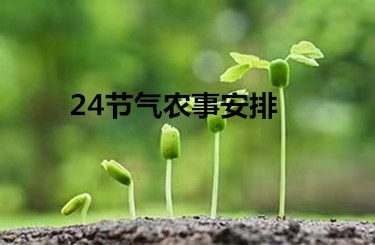24節氣農事安排，全年該干啥，一看就明白