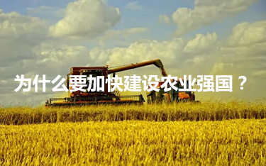 為什么要加快建設農業強國？