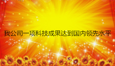我公司一項科技成果達到國內領先水平