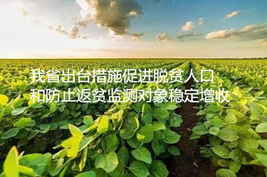 我省出臺措施促進脫貧人口和防止返貧監測對象穩定增收