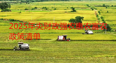 2025年中央財政強農惠農富農政策清單