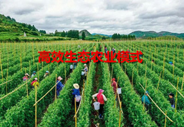 做農業，這幾種高效生態農業模式你必須知道
