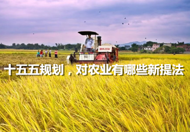十五五規劃，20次提到農業，有哪些新提法