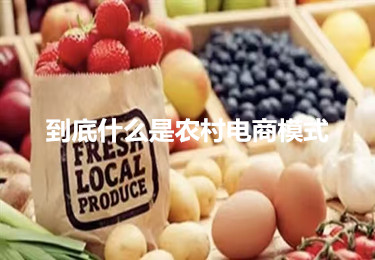 到底什么是農村電商模式