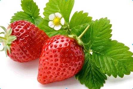 1494483183119494.jpg 1494483183119494.jpg