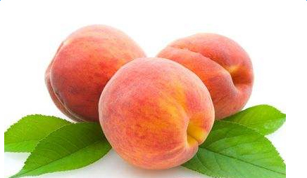 1494483239136113.png 1494483239136113.png