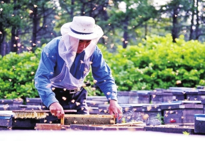 1511146934135162.jpg W020171102322368497736.jpg