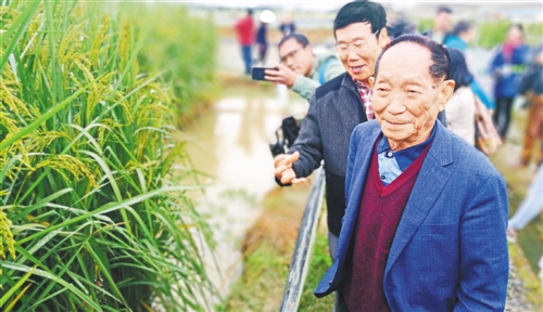 1511149236126754.jpg res01_attpic_brief.jpg