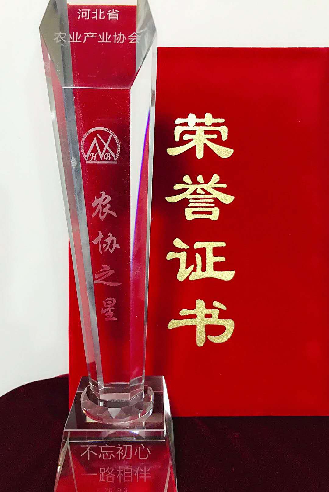 1553840841759941.jpg 1553840841759941.jpg