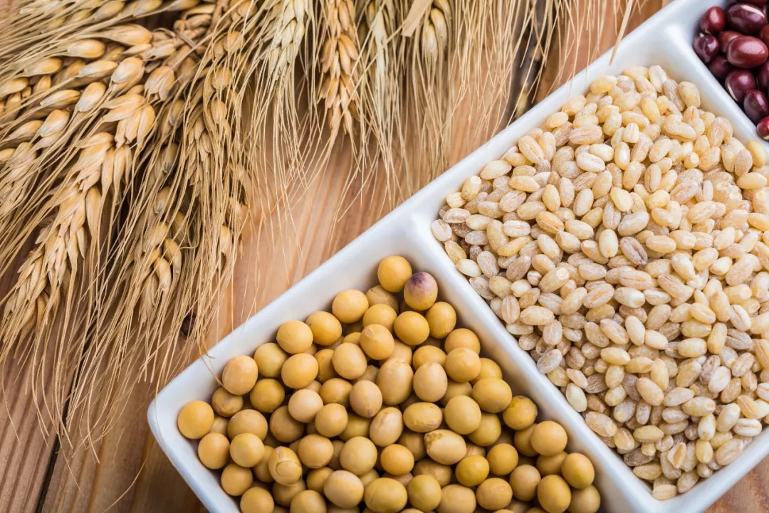 1559634548654470.png 1559634548654470.png