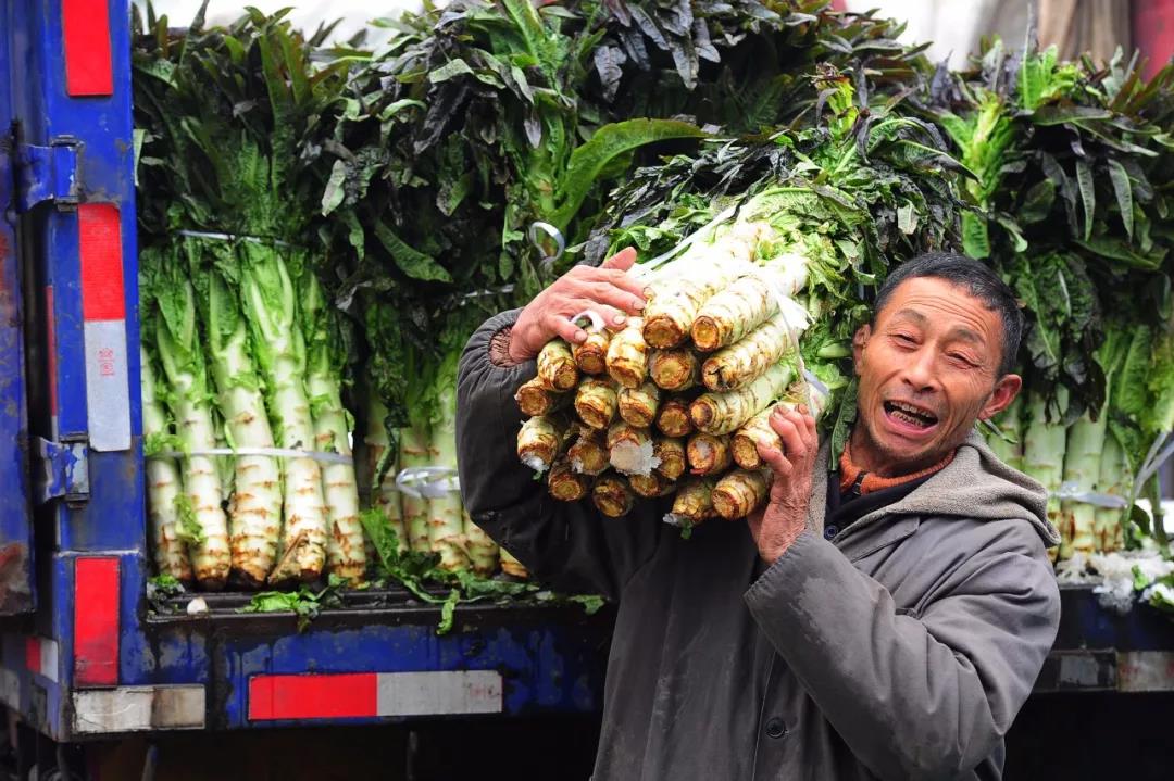 1563156597332764.jpg 1563156597332764.jpg