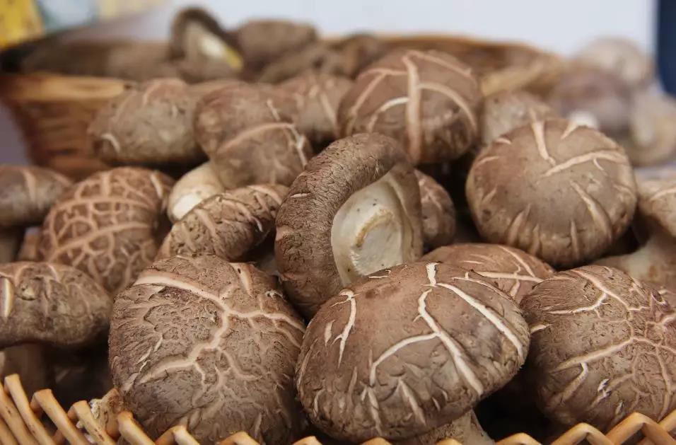 1571017644823843.jpg 1571017644823843.jpg