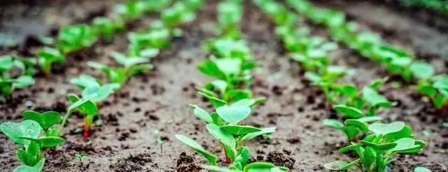 1581473349775518.jpg 1581473349775518.jpg