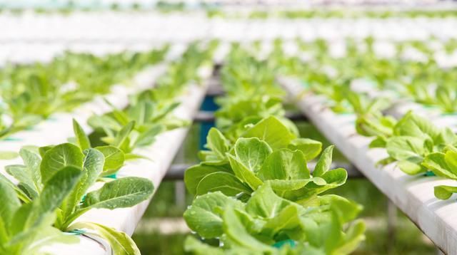 1581473372115075.jpg 1581473372115075.jpg